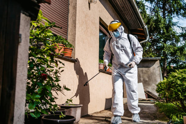 Best Pest Control for Businesses  in Roseville, OH