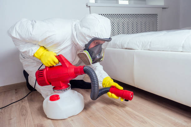 Best Pest Removal Services  in Roseville, OH