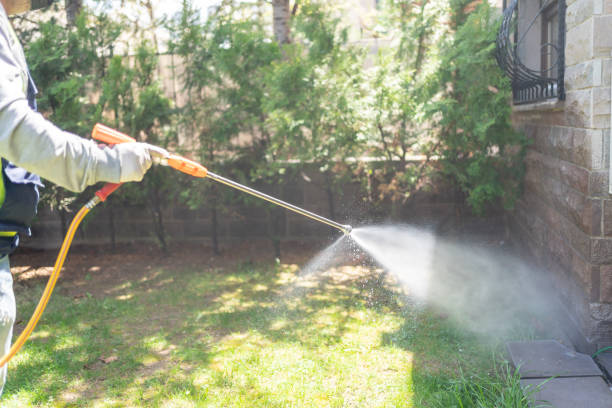 Best Affordable Pest Control Services  in Roseville, OH