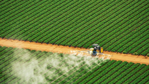 Best Commercial Pest Control Services  in Roseville, OH