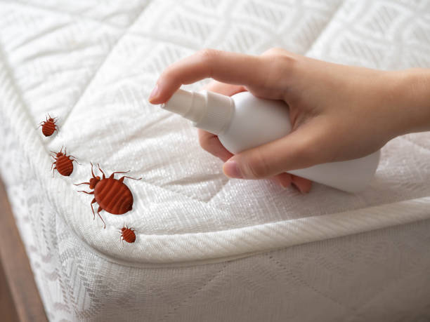 Best Best Pest Control Companies  in Roseville, OH